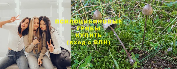 крисы Волосово