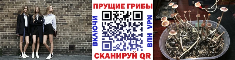 Галлюциногенные грибы ЛСД  Купить  Белёв 